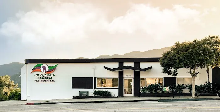Crescenta Cañada Pet Hospital 1
