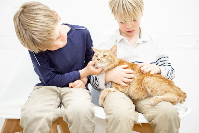 Crescenta Cañada Pet Hospital 9