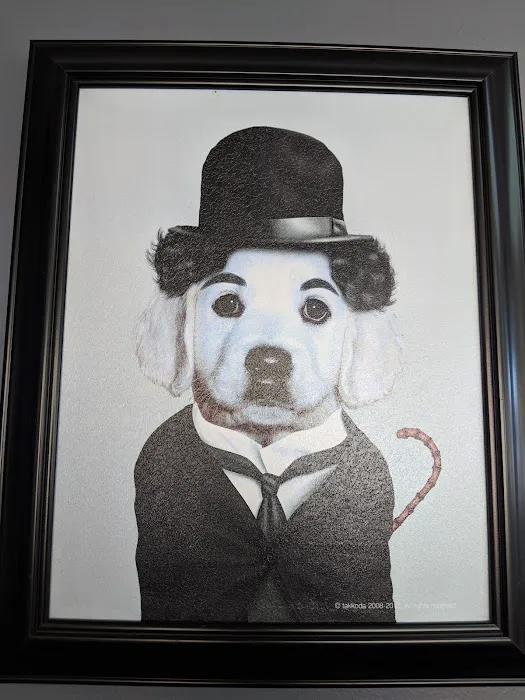 Crescenta Valley Veterinary Hospital 4