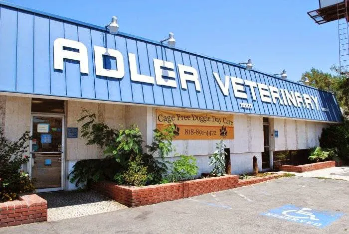 VCA Adler Animal Hospital and Pet Resort 5