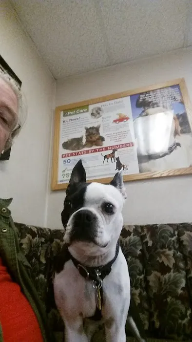 VCA Adler Animal Hospital and Pet Resort 1