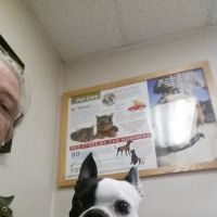 VCA Adler Animal Hospital and Pet Resort ico