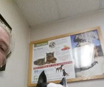 VCA Adler Animal Hospital and Pet Resort