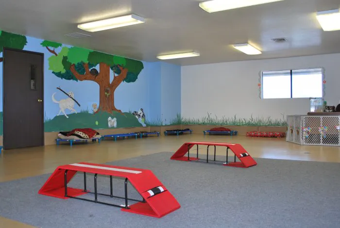 VCA Adler Animal Hospital and Pet Resort 6