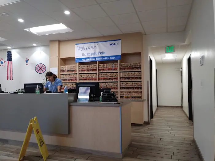 VCA Adler Animal Hospital and Pet Resort 4
