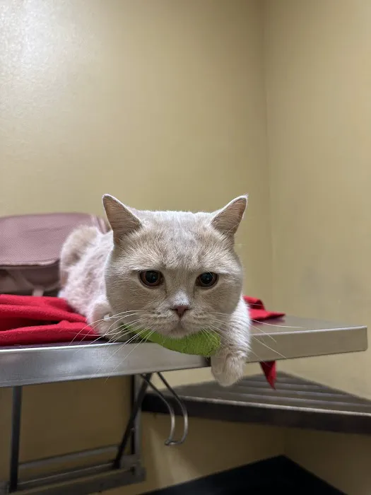 Mid Valley Veterinary Hospital 6