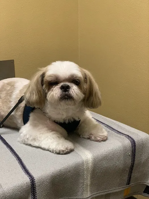 Mid Valley Veterinary Hospital 8