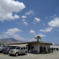 Ala-Palm Animal Hospital ico