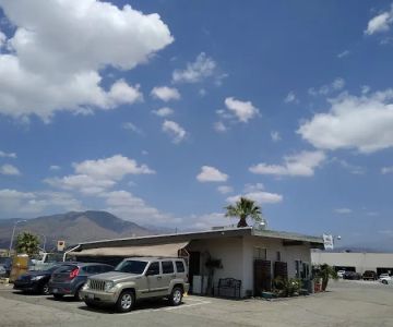 Ala-Palm Animal Hospital