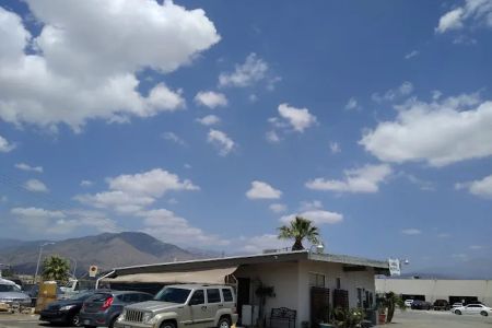 Ala-Palm Animal Hospital