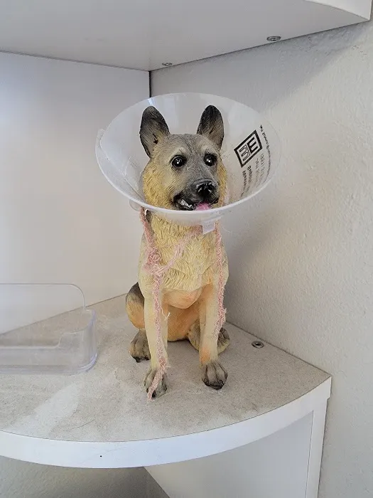 Ala-Palm Animal Hospital 12