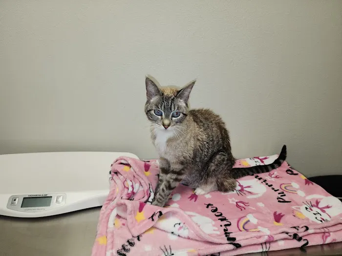Ala-Palm Animal Hospital 12