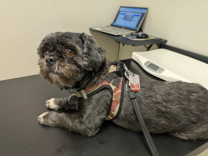 Ala-Palm Animal Hospital 12