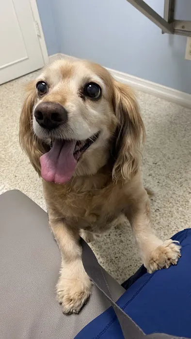 Animal Medical Center of Redlands 12