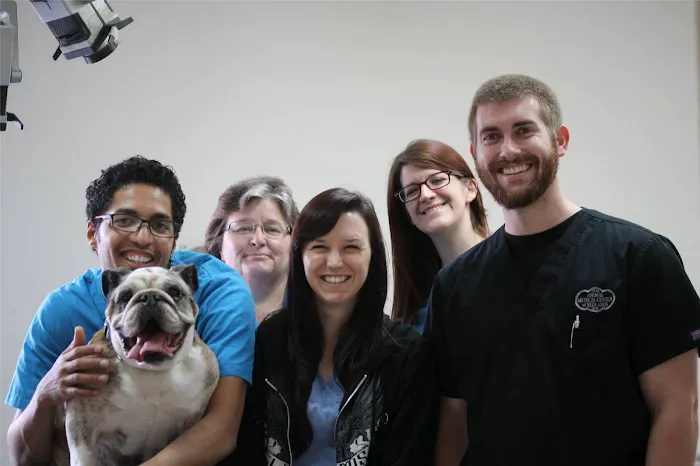 Animal Medical Center of Redlands 12