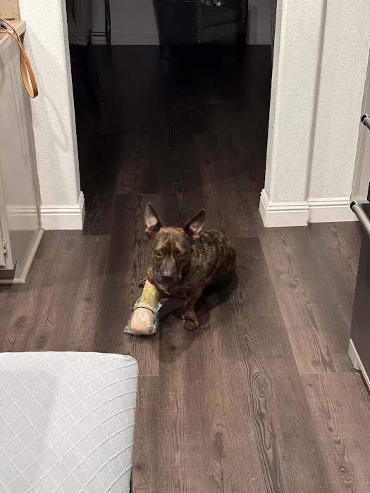 Highland Village Pet Hospital 12