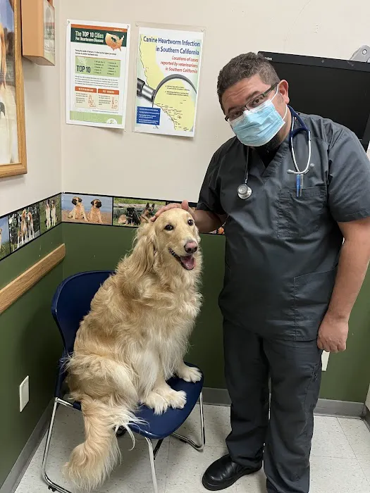 Highland Village Pet Hospital 12