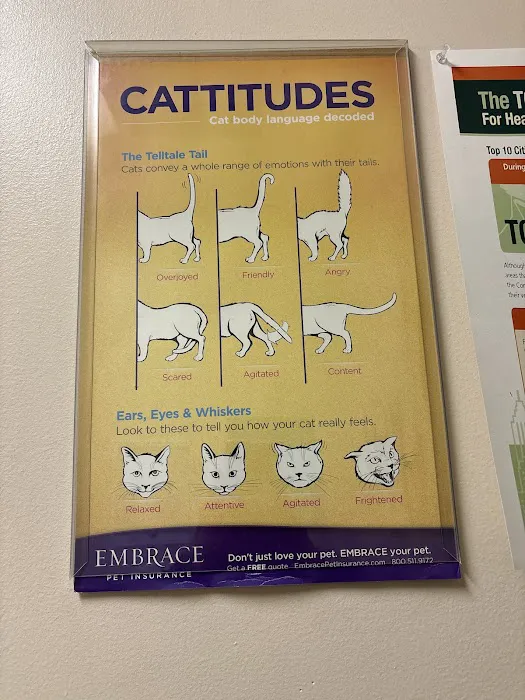 Highland Village Pet Hospital 12