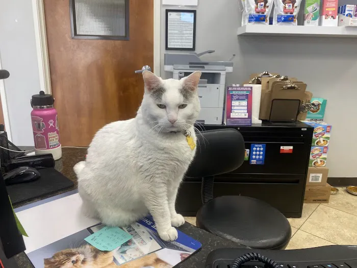 East Valley Pet Hospital 12