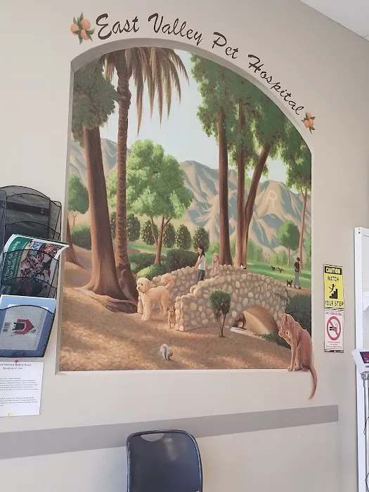 East Valley Pet Hospital 12