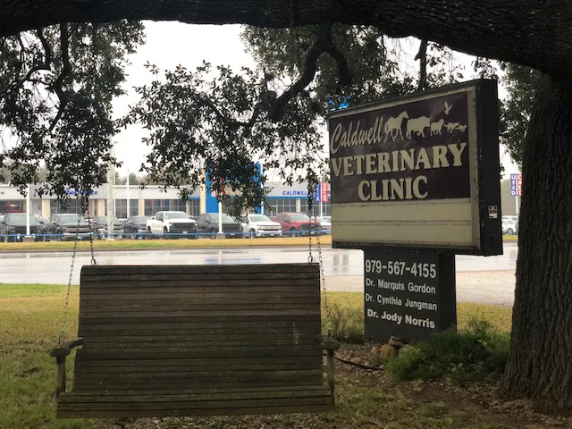 Caldwell Veterinary Clinic 2