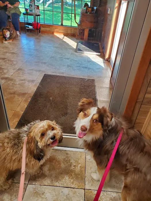 Caldwell Veterinary Clinic 6