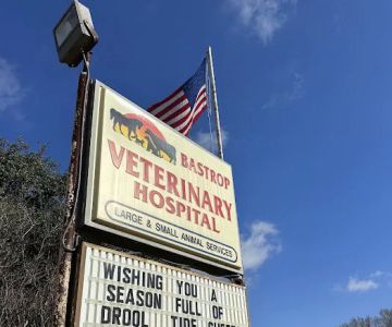Bastrop Veterinary Hospital