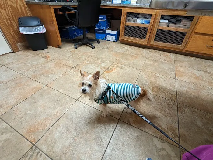 Bastrop Veterinary Hospital 2