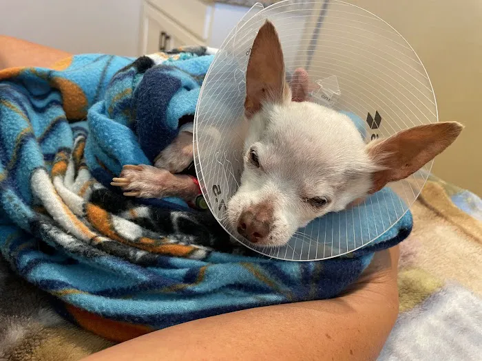Bastrop Veterinary Hospital 7