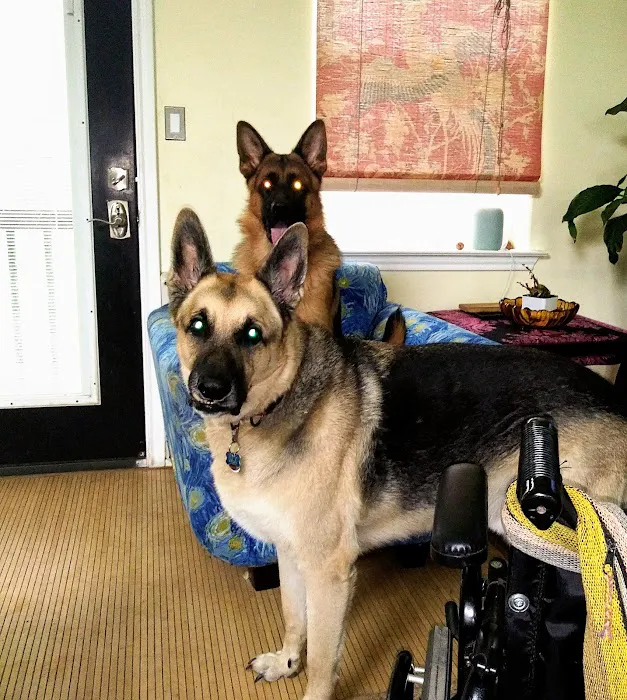 Bastrop Veterinary Hospital 8