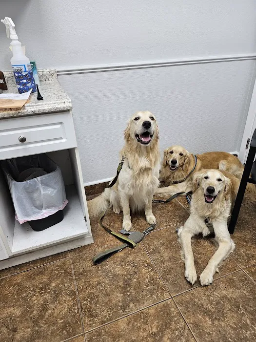 Crossroads Animal Hospital 6