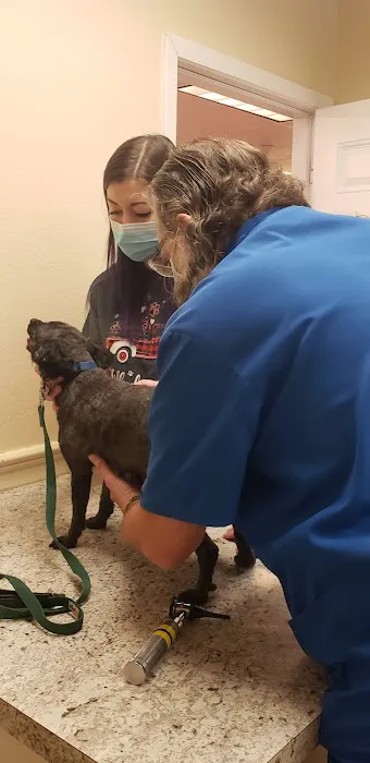 Crossroads Animal Hospital 10