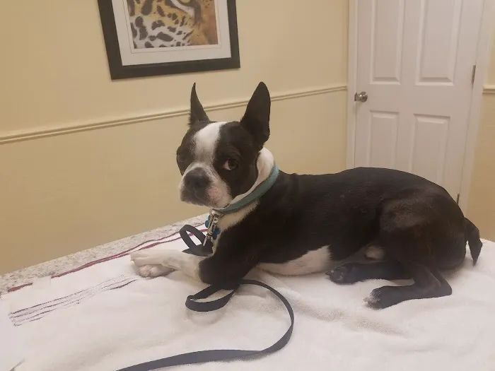 Crossroads Animal Hospital 2