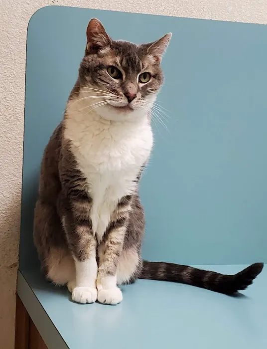 Highway 71 Veterinary Hospital 5
