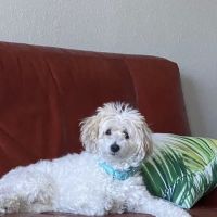 Highway 71 Veterinary Hospital ico