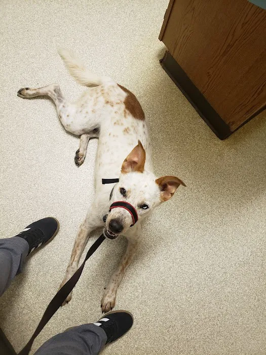 Highway 71 Veterinary Hospital 10
