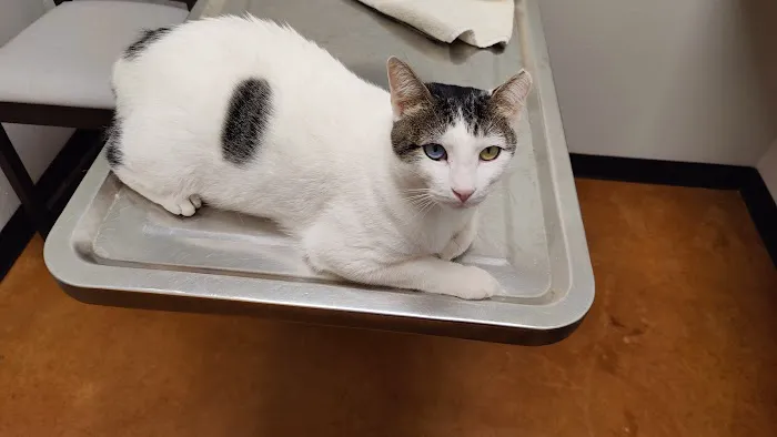 Prairie Creek Animal Hospital 4