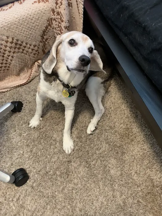 Prairie Creek Animal Hospital 6
