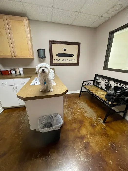 Chisholm Trail Veterinary Clinic of Lockhart 12