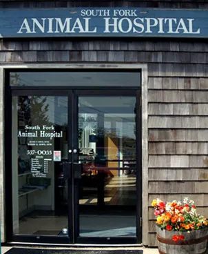 South Fork Animal Hospital 3