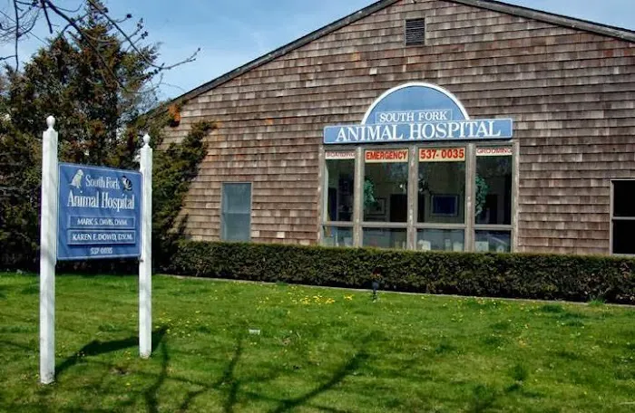 South Fork Animal Hospital 10