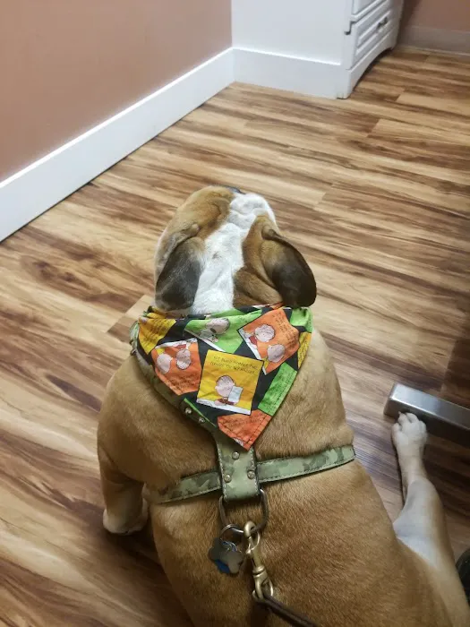 Veterinary Clinic-East Hampton 2