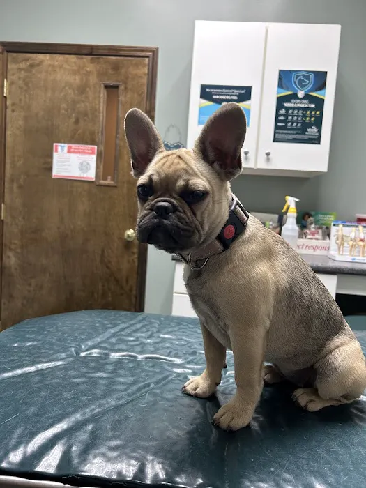 Green Valley Animal Hospital 12