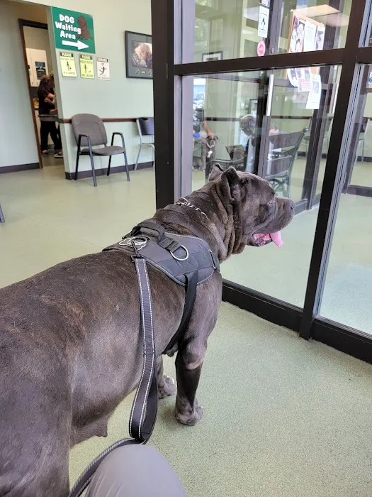 Green Valley Animal Hospital 12