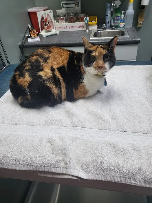 Green Valley Animal Hospital 12