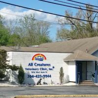 All Creatures Veterinary Clinic Inc ico