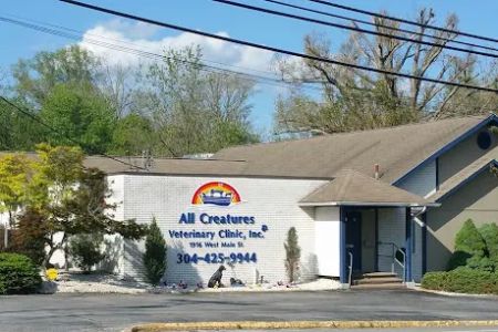 All Creatures Veterinary Clinic Inc