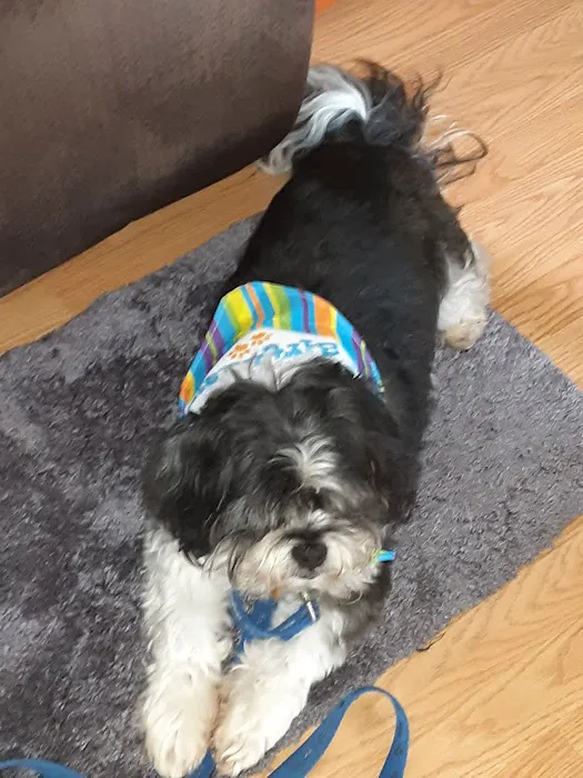 Happy Tails Veterinary Clinic 12