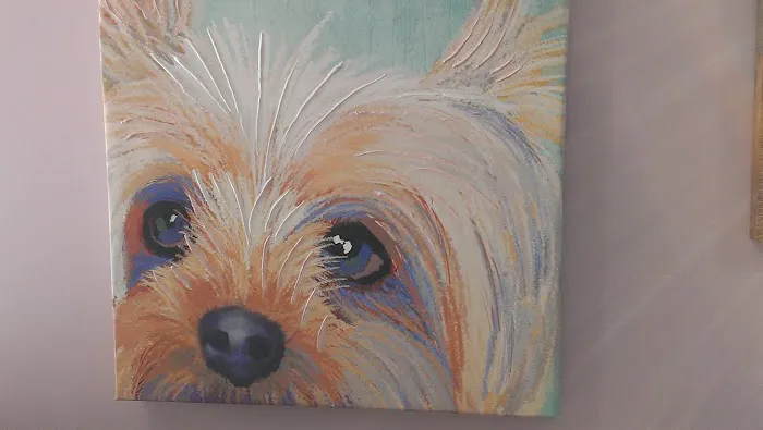Oak Glen Animal Hospital 5