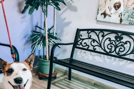 Oak Glen Animal Hospital